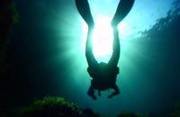 Diving on the North-east coast of Mallorca